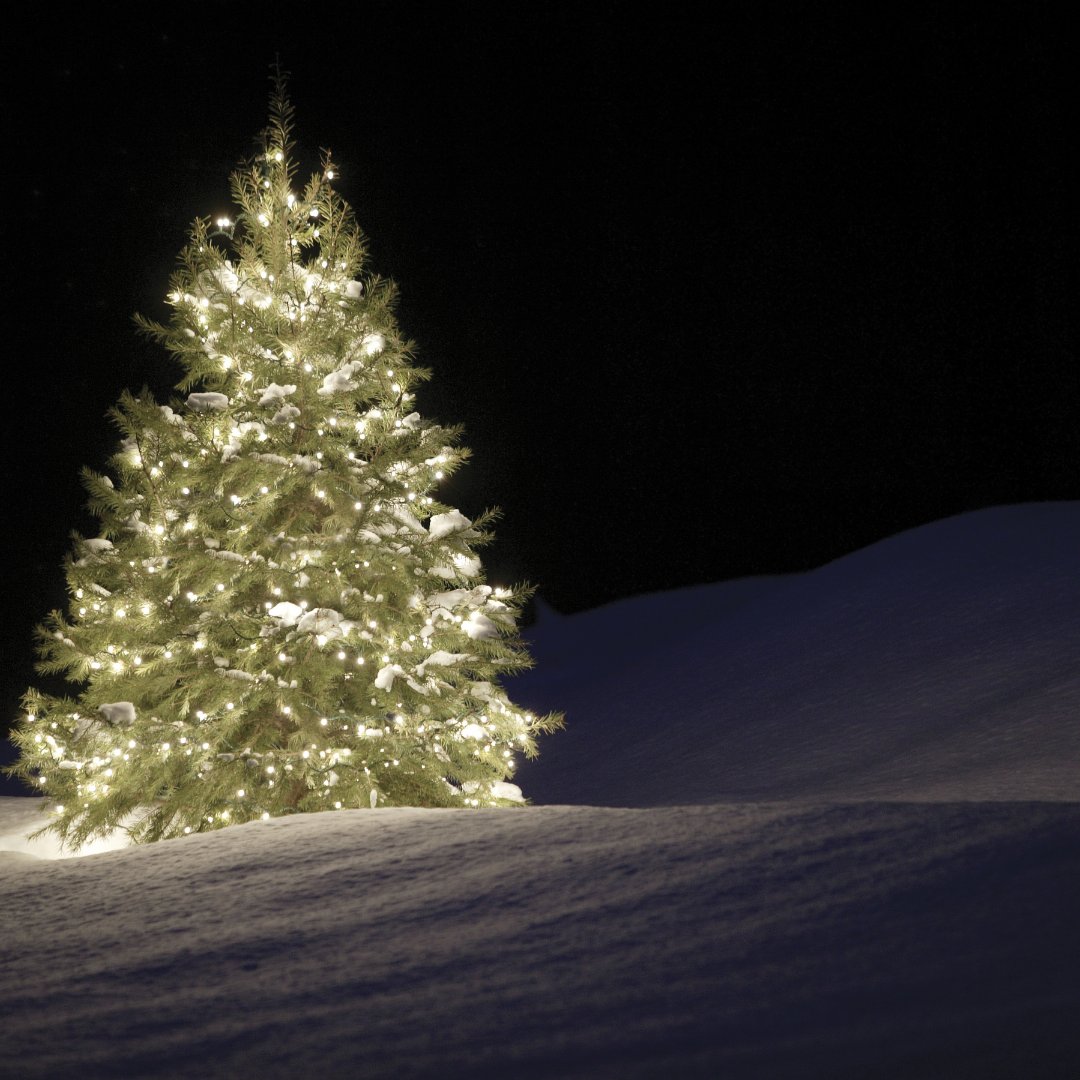 NowakTours's tweet photo. 🌟 FUN FACT FRIDAY! 🌟

Did you know the tradition of decorating Christmas trees started in Germany in the 1500s? Sometimes called "Paradise Trees," they were decorated with apples, nuts, and other items like wafers or sweets.

#FunFactFriday #HolidayTravel #ChristmasTradition https://t.co/EJpmeTqAlf