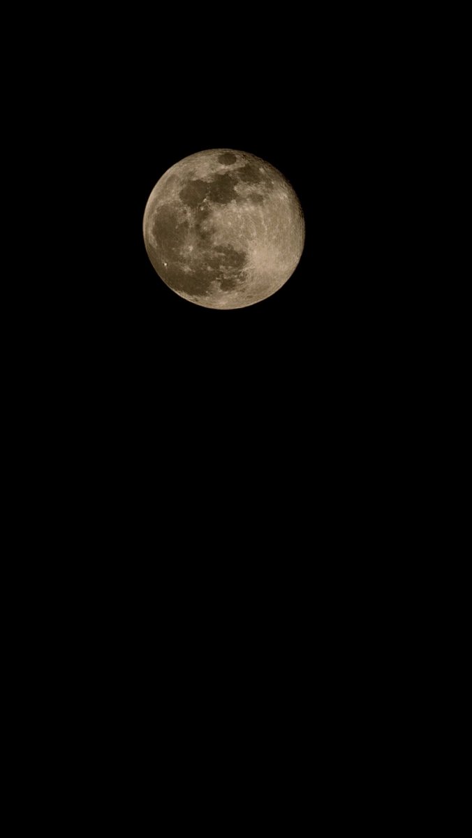 خَـِآلد بنِ سَـلمآن ⚪ tweet media