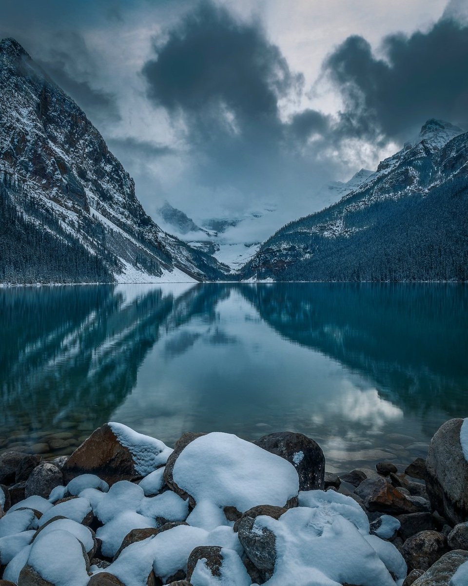 Dan the Man tweet media