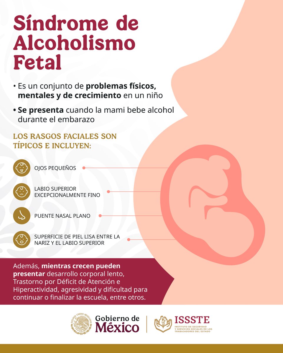 ISSSTE_mx's tweet image. Si esperas la visita de la cigüeña 🤰 tu misión es cuidarte y ser feliz con tu bebé cuando nazca. La nuestra:

🏥 Procurar el bienestar de ambos previniendo, detectando y en su caso, tratando oportunamente los #DefectosDelNacimiento con:
👩‍⚕️ Chequeos gestacionales de rutina
🩸…