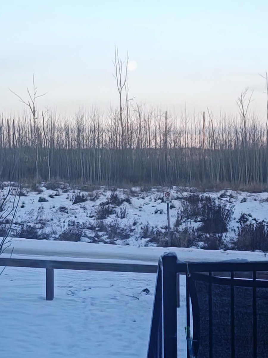 Neville73C's tweet photo. #winterfun #ymm #coldwalk @HouckisPokisewx @joshclassenCTV @MurphTWN @Newfiestud_79 @MorganLaidler https://t.co/o2IUUuD1HW