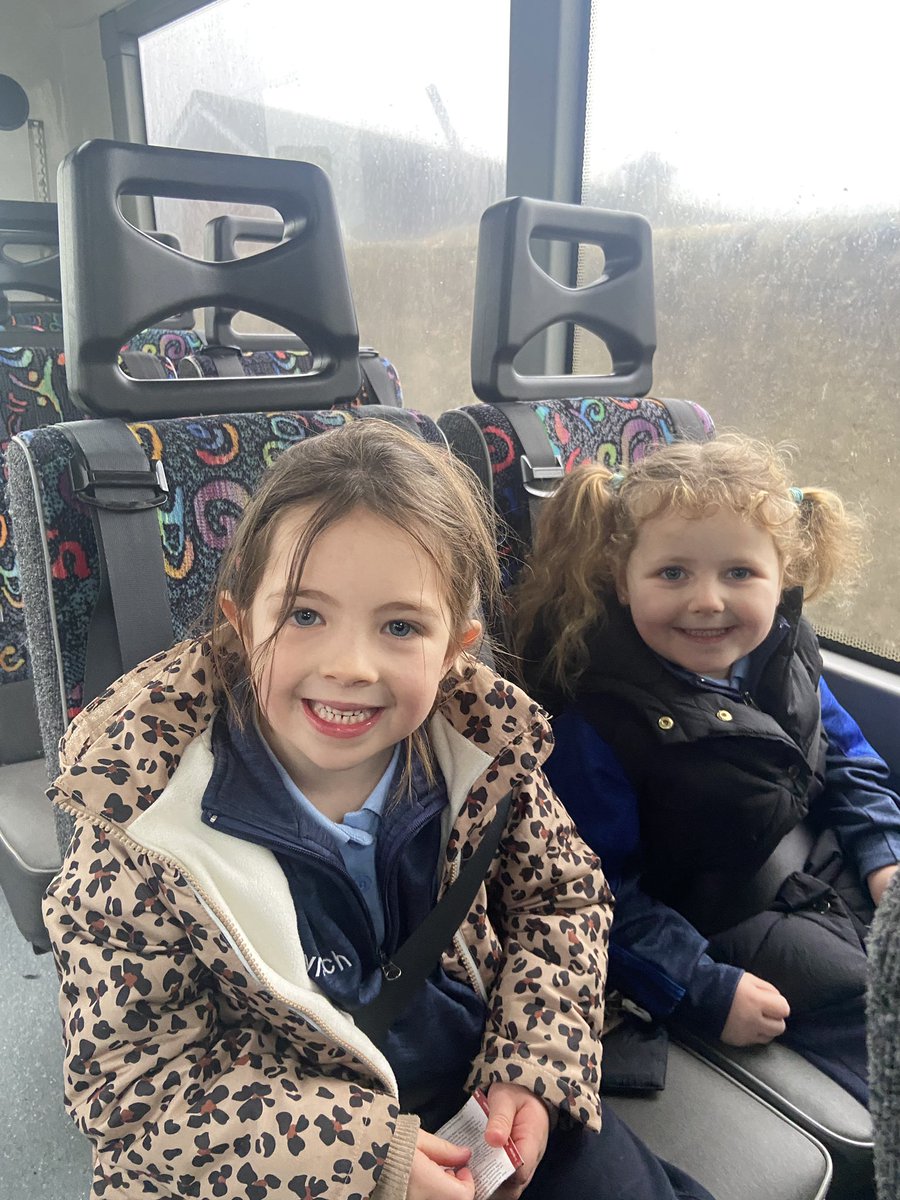 St. Patrick's Bruree tweet media