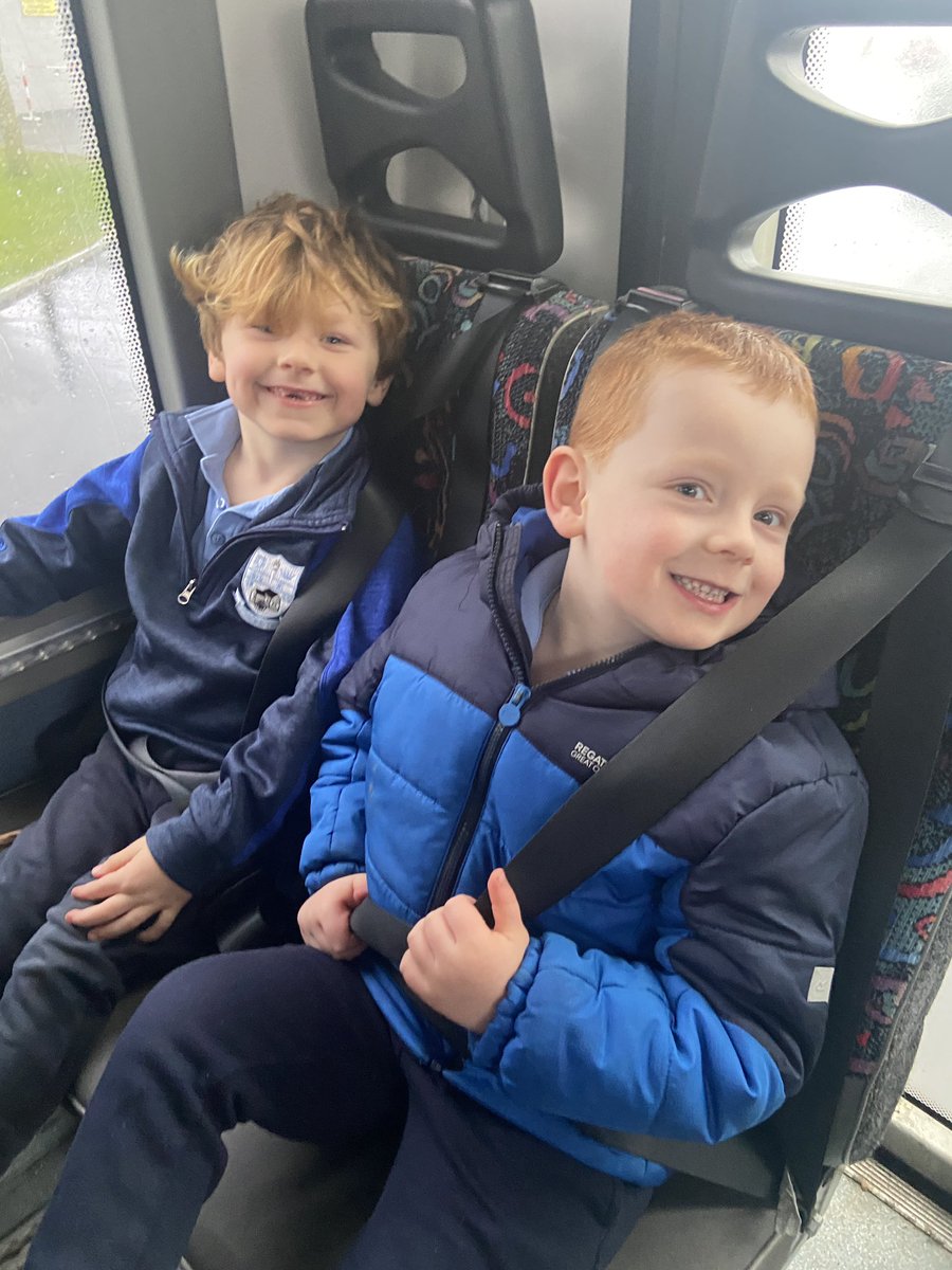 St. Patrick's Bruree tweet media