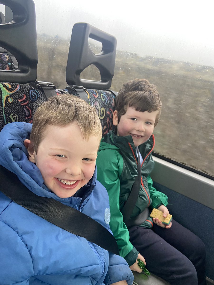 St. Patrick's Bruree tweet media