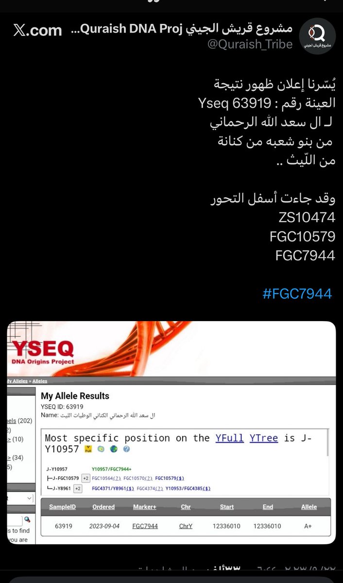 Higklmno_1404's tweet photo. بعد ظهور نتايج وتكتل كناني  على #zs10474 موازي للكتلة القرشية على #fgc10562 

جن جنون العامرين المنتحلين صفة الياس جينياً

فشنوا الحملات على التحور العظيم #fgc7944

إليكم نتائج التكتل الكناني الذي قض مضاجعهم https://t.co/e0tEqejbcD