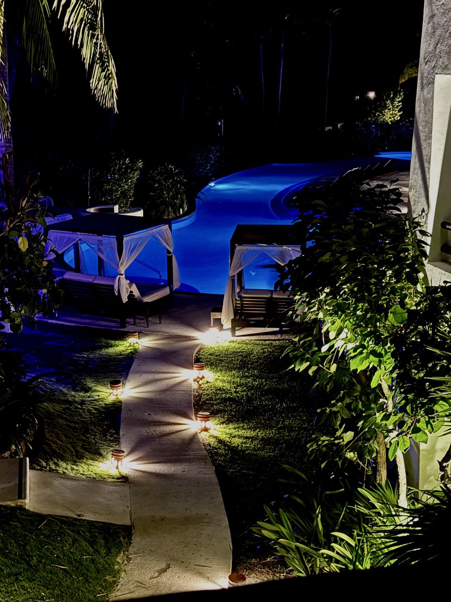 SaltLifeDuo tweet media