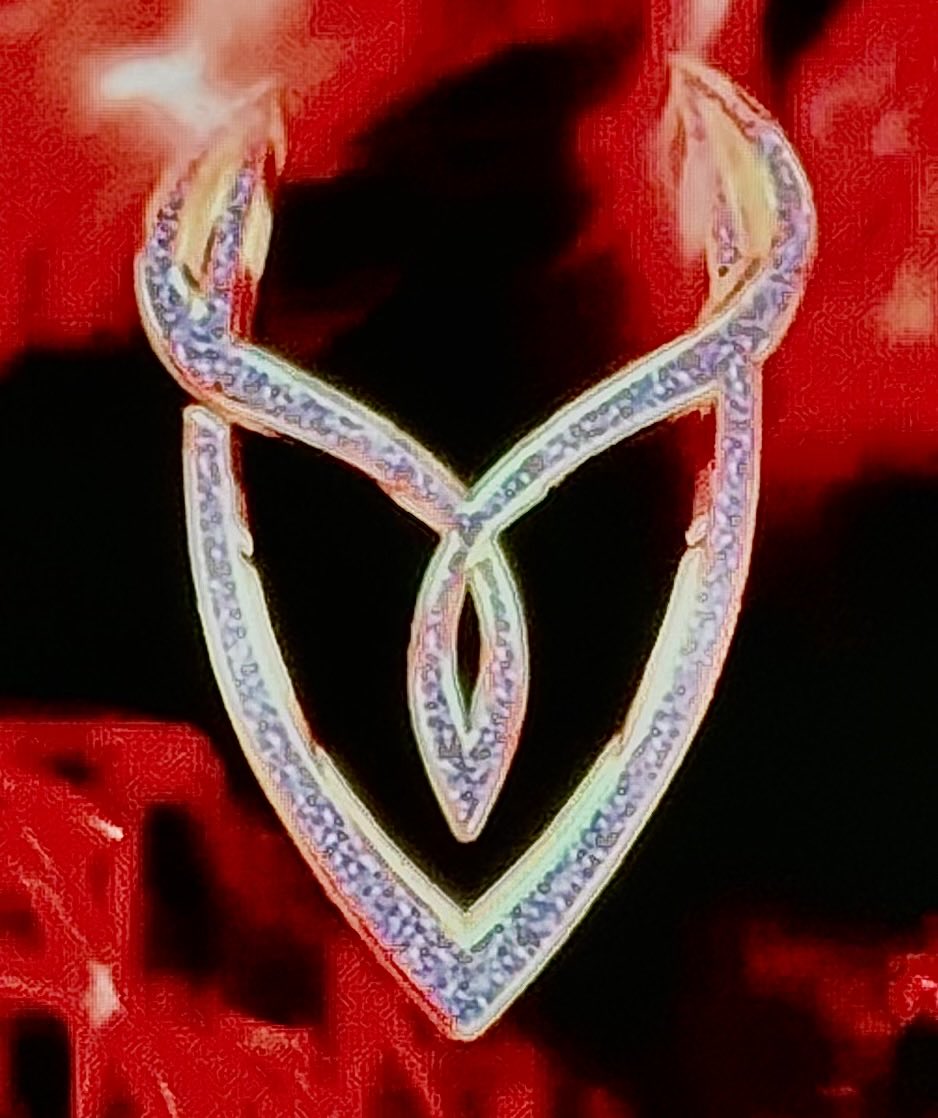 SaltLifeDuo tweet media