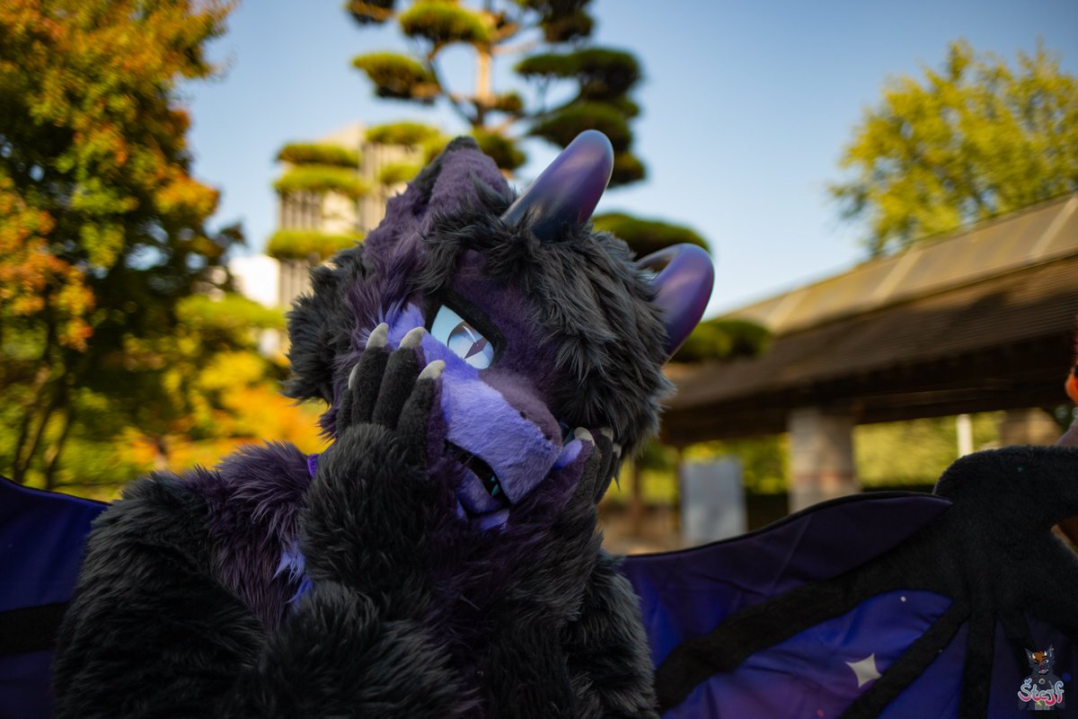 edox 🔜 DCC, EF tweet media