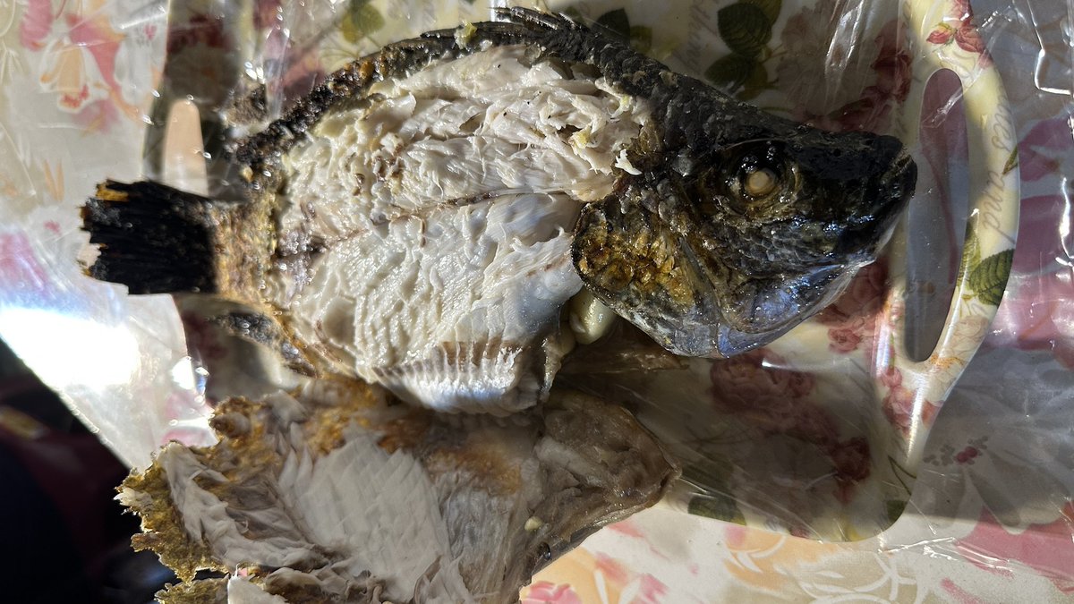 Paul Lin tweet media