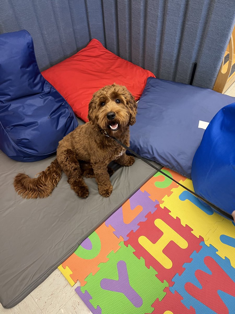 TewksburyPD's tweet photo. 🐶🐾Officer Pancake spent the morning giving snuggles, high-fives, and bringing BIG smiles to our little learners at the Dewing School with Officer Valeri and Casino🐶🐾
#OfficerPancake #CommunityHelpers #DewingSchool #PreKSmiles
-TPD126 https://t.co/G1mtwpnsXS