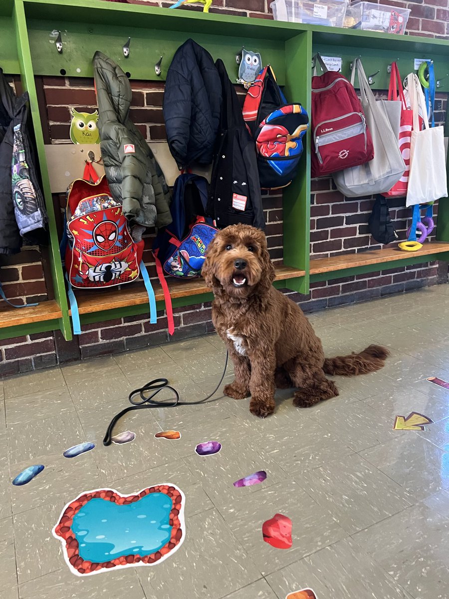 TewksburyPD's tweet photo. 🐶🐾Officer Pancake spent the morning giving snuggles, high-fives, and bringing BIG smiles to our little learners at the Dewing School with Officer Valeri and Casino🐶🐾
#OfficerPancake #CommunityHelpers #DewingSchool #PreKSmiles
-TPD126 https://t.co/G1mtwpnsXS