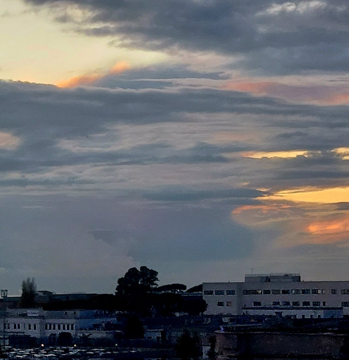 Maria Lea tweet media