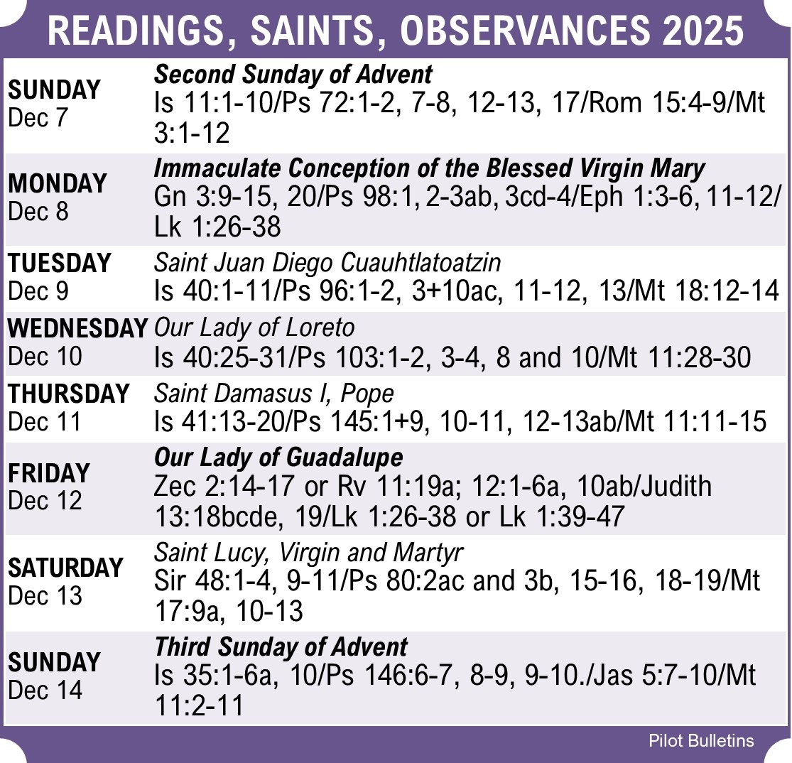 StMarysWinMA's tweet image. #weeklyscripture #stmaryswinma