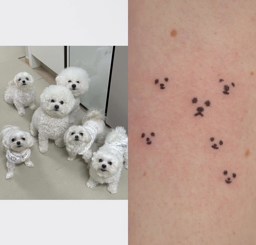 twaniimals's tweet image. 