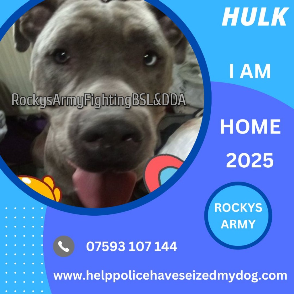 Rockys Army Fighting BSL & DDA tweet media