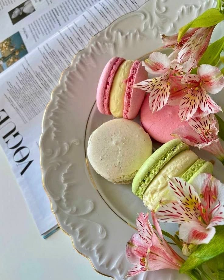 lovrscupid's tweet image. ﹒⟡ 𓈒 𝓒ombo pedido: 𝟏𝟐 𝐏𝐫𝐢𝐧𝐜𝐞𝐬𝐚𝐬 𝐁𝐚𝐢𝐥𝐚𝐫𝐢𝐧𝐚𝐬 

﹒⟡ 𓈒 𝓓e: Sua pessoa favorita 𓂃 ࣪ ִֶָ

﹒⟡ 𓈒 𝓟ara: @jstdancee 𓂃 ࣪ ִֶָ

﹒⟡ 𓈒 𝓡ecado: Espero que isso alegre ao menos um pouquinho do seu dia, eu te amo minha linda bailarina 💜𓂃 ࣪ ִֶָ