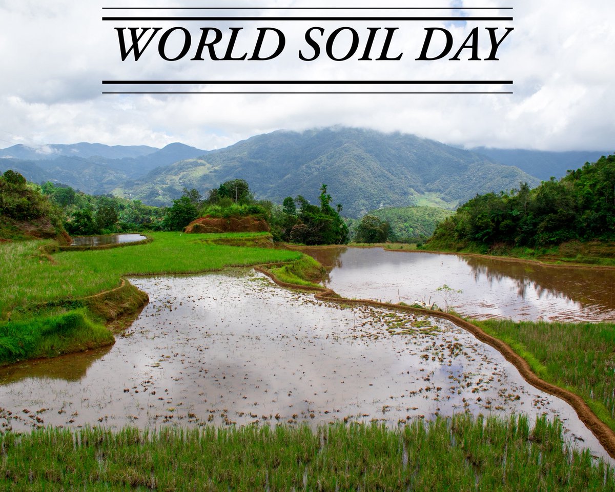 Dr. Nall I. Moonilall tweet media