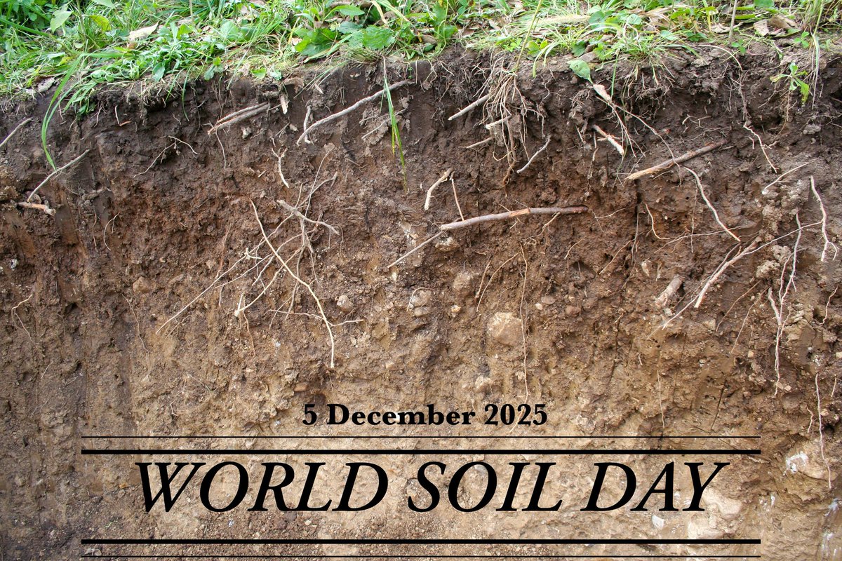 Dr. Nall I. Moonilall tweet media