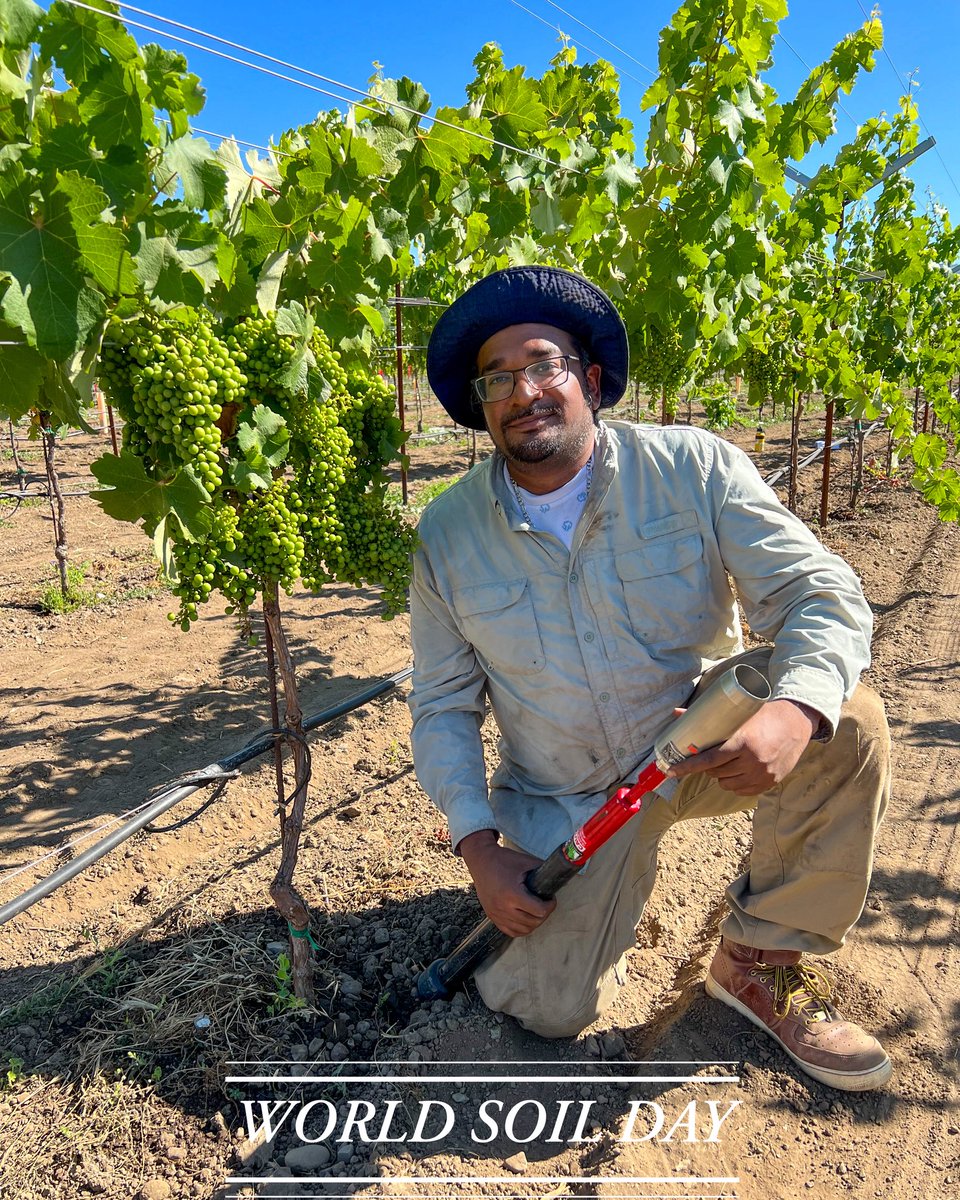 Dr. Nall I. Moonilall tweet media