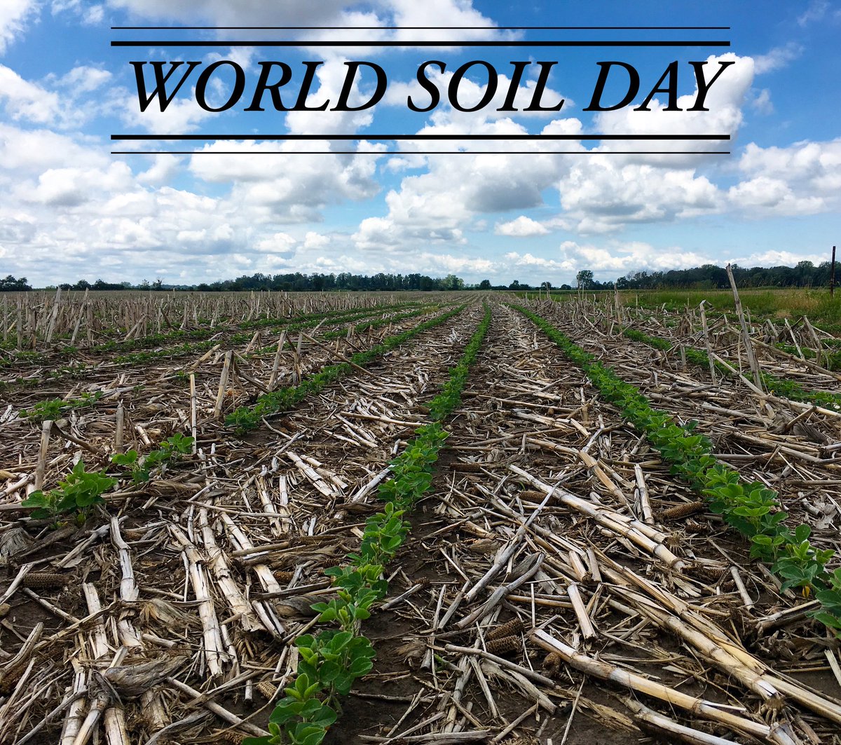 Dr. Nall I. Moonilall tweet media