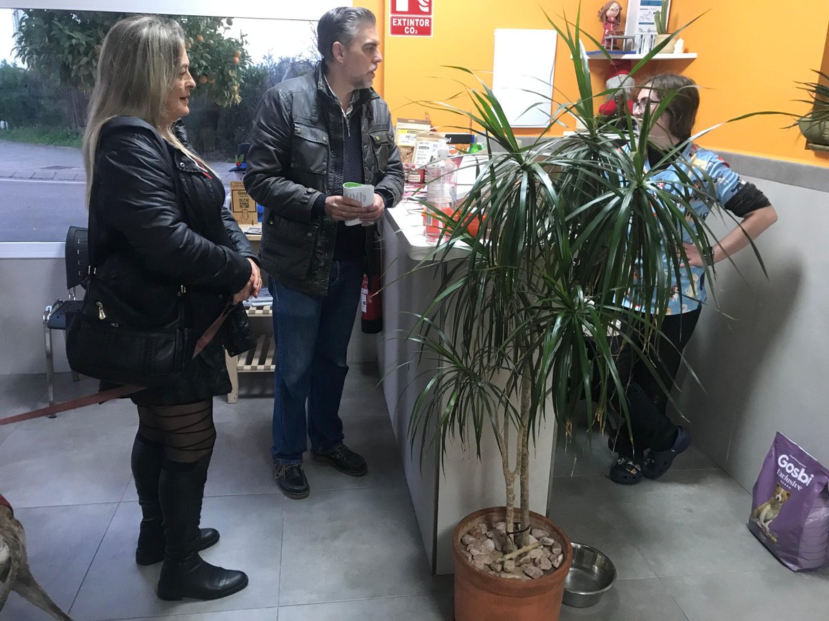VOXSevilla_'s tweet photo. 🏡✅📢🇪🇸En La Puebla de Cazalla, Palomares del Río y donde haga falta.

¡La patria empieza en los pueblos!

@JMiguelEspinar 
@ReyesGGarrorena https://t.co/a5reCYT9rj