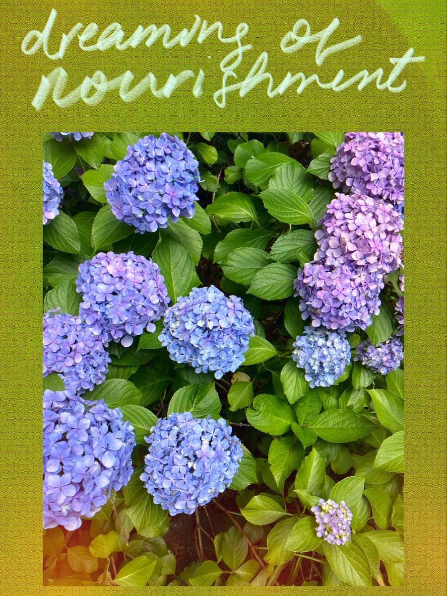 alexa dexa tweet media