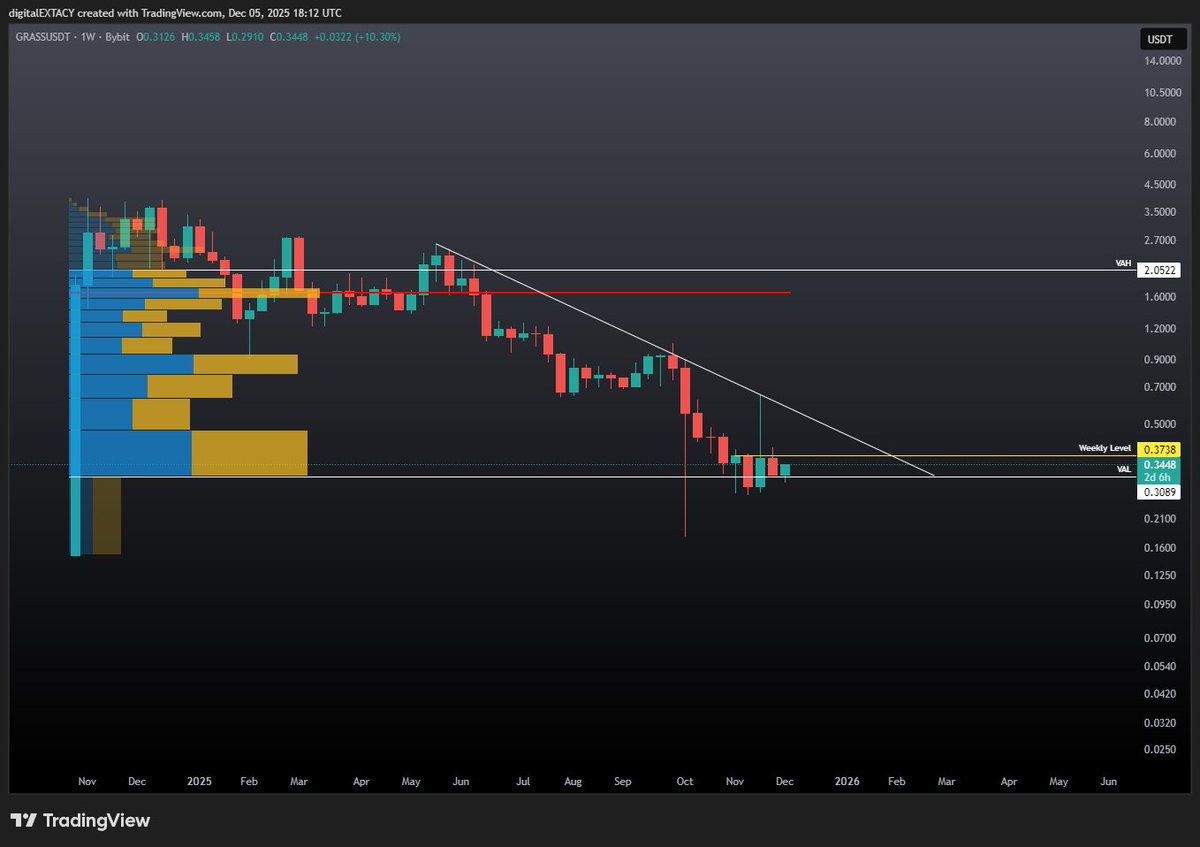 digitalECSTASY tweet media