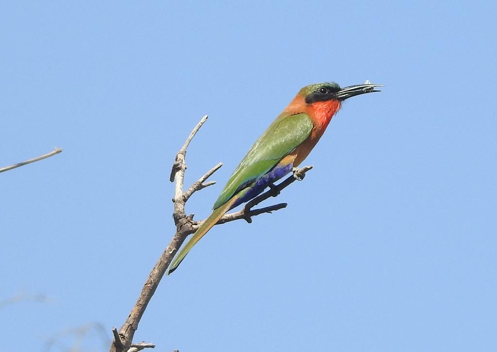 Alan Ball tweet media