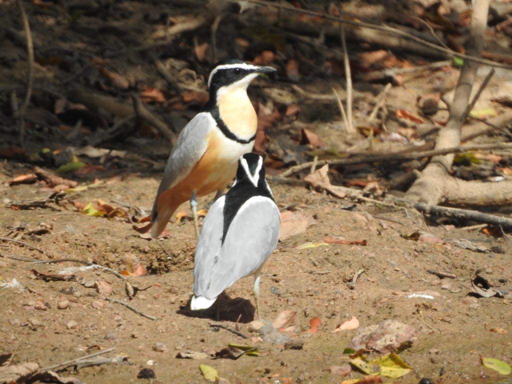 Alan Ball tweet media