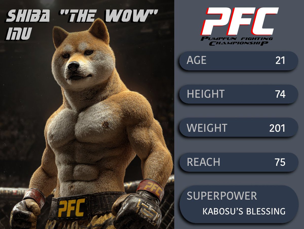 PUMP.FUN FIGHTING CHAMPIONSHIP tweet media