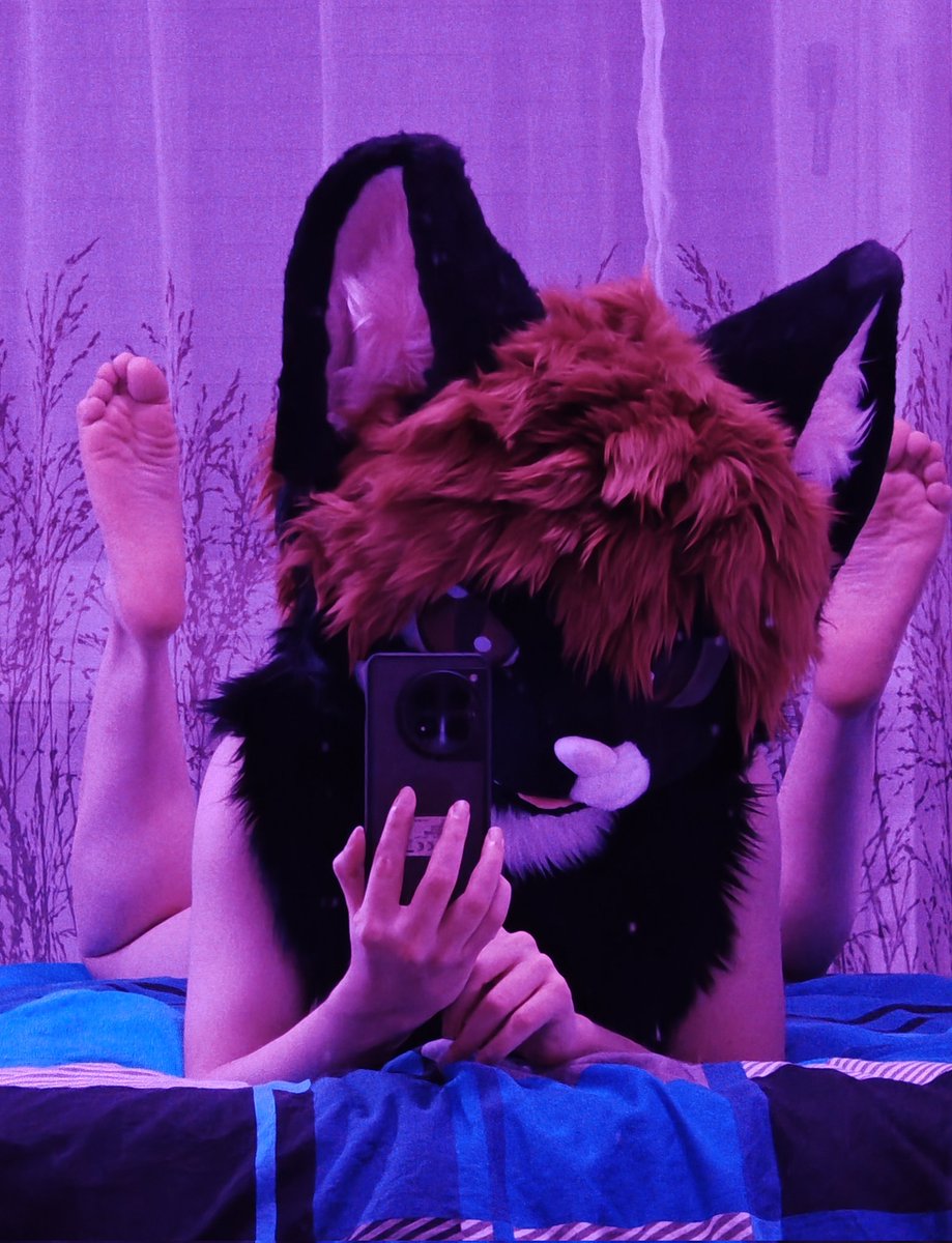 Splatty 🚈🇩🇪 tweet media