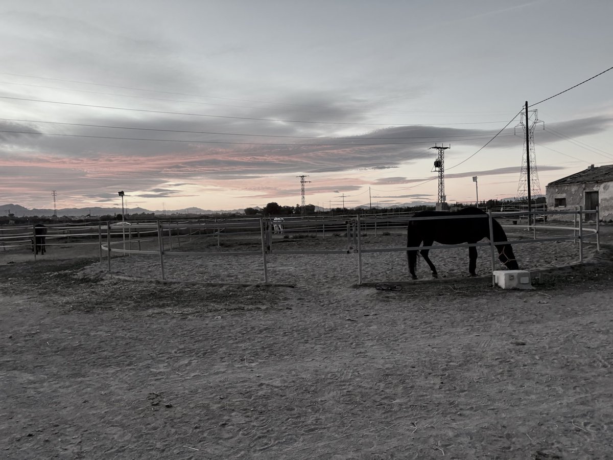 Anasleeper_'s tweet image. Viernes completado ✅