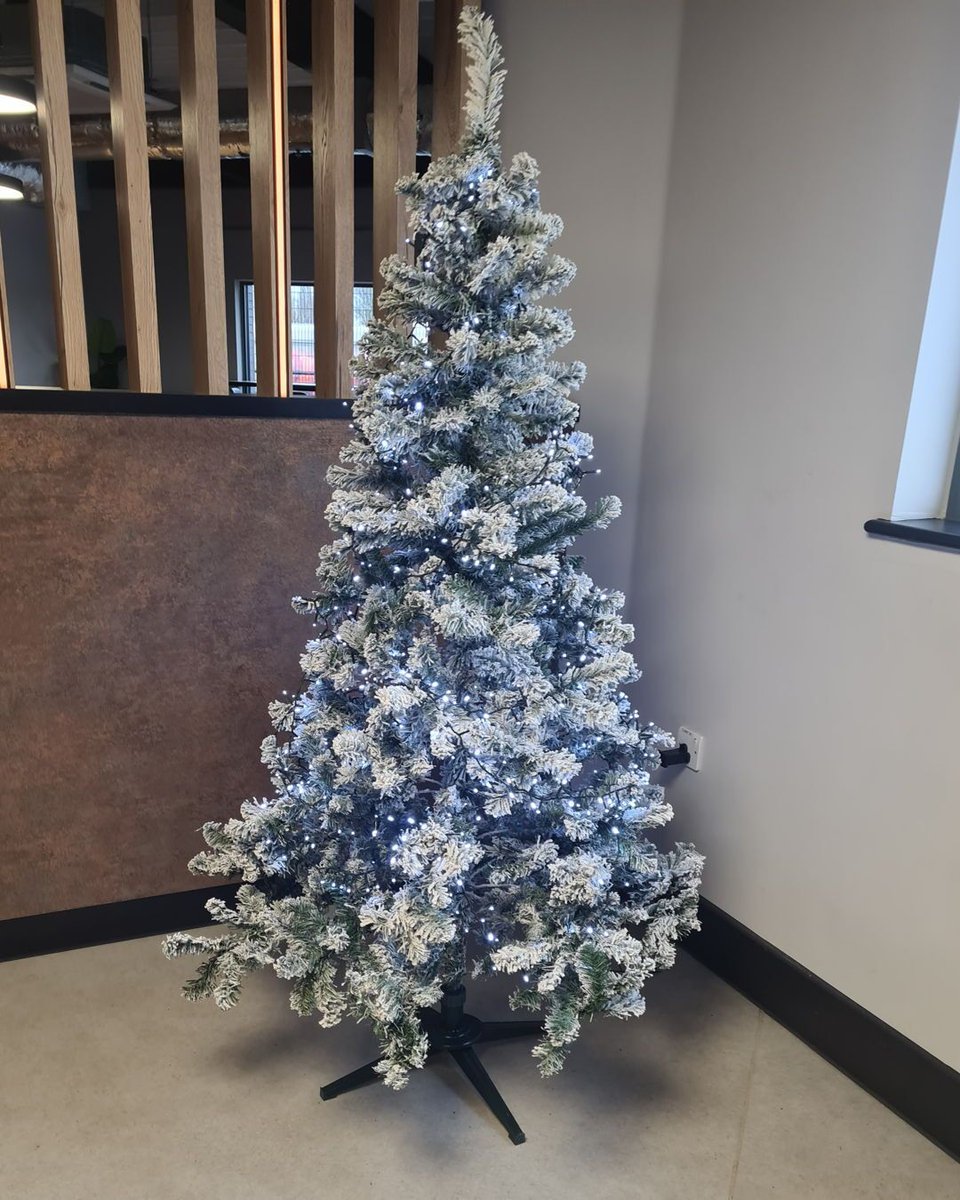 Essex Alliance FL tweet media