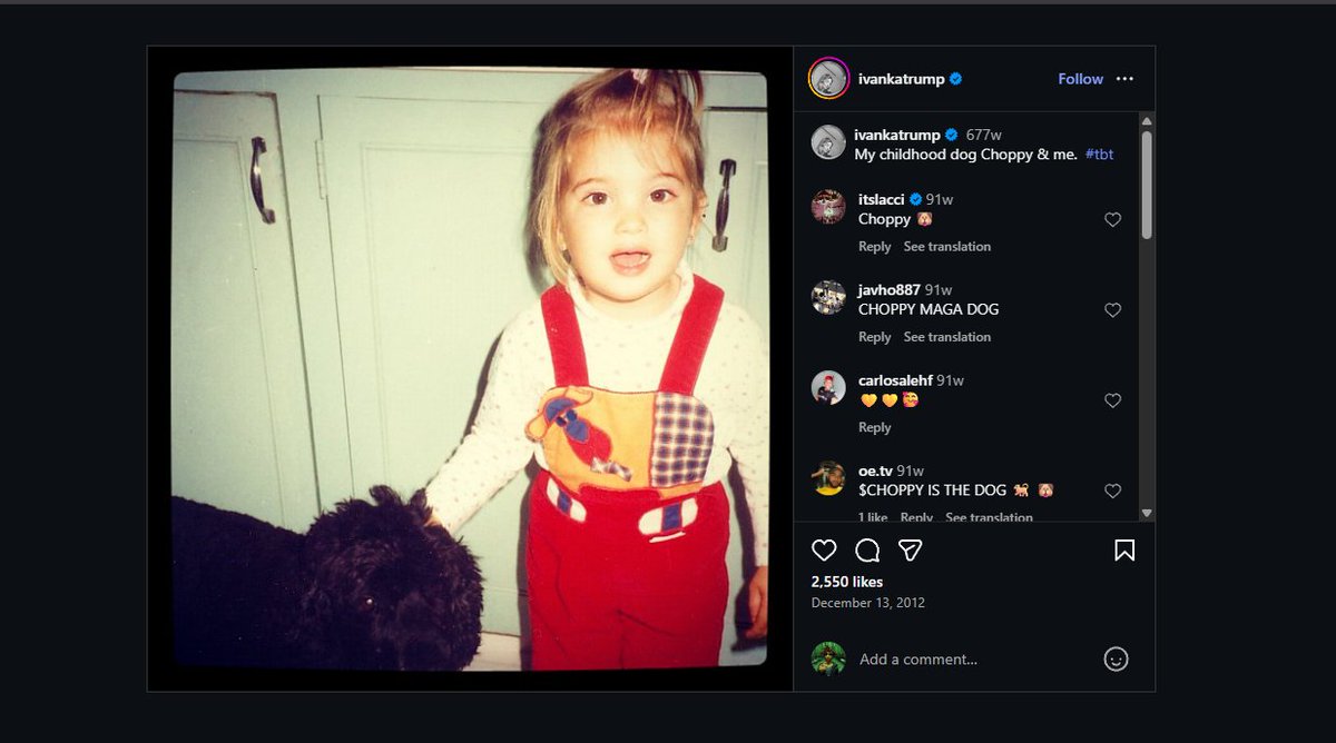 DEVification's tweet image. Since we have some runners on BONK

I have found another animal runner

The Trump's childhood dog Choppy (2 $WLFI co-founders Don Jr + Eric Trump) was posted by Ivanka Trump on her instagram and this is the first one on USD1 which is backed by $WLFI

This is insane cuz its a 2012…