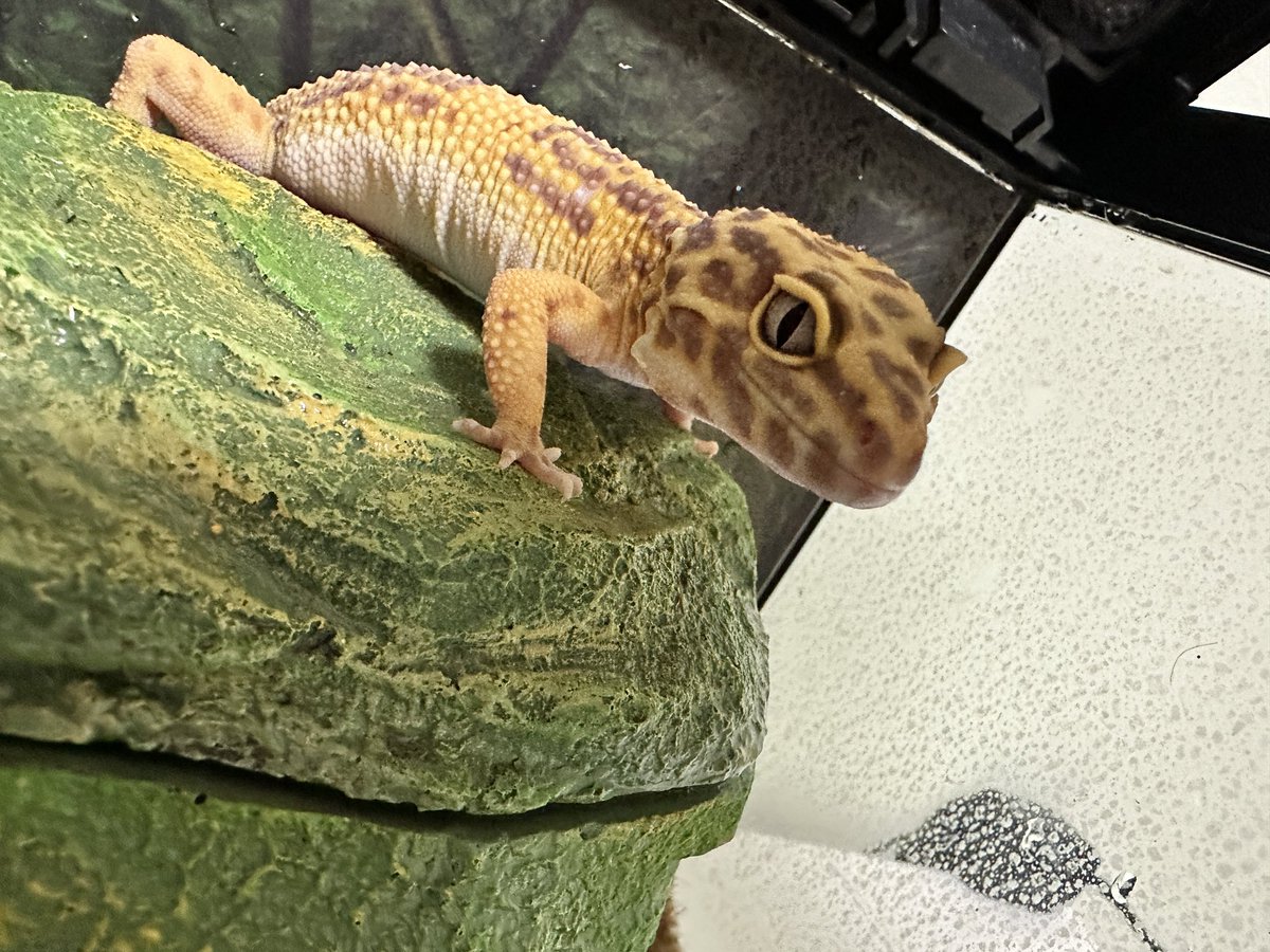 Знакомьтесь, придурок