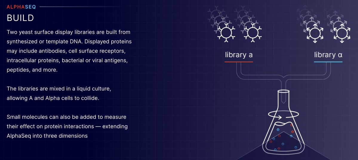 Georgia Channing tweet media