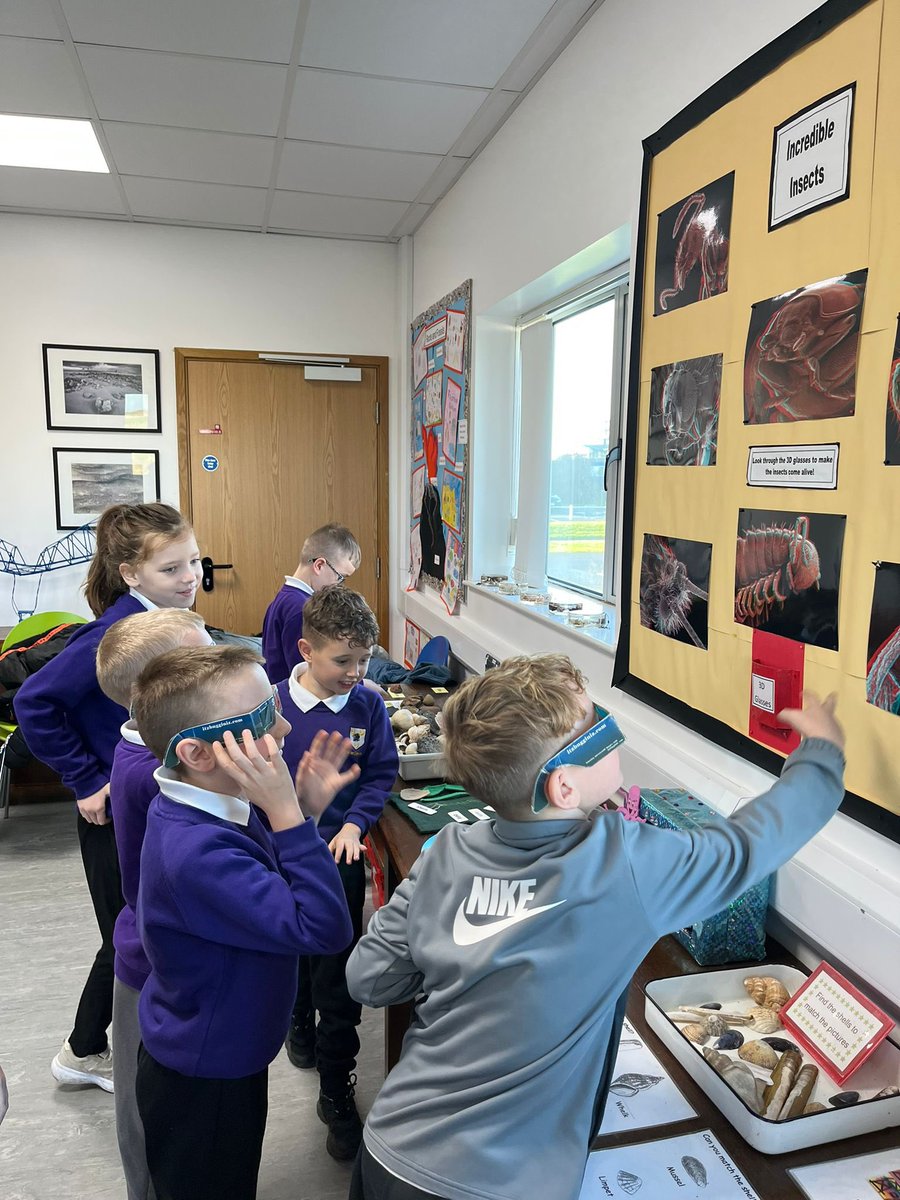 Newcomen Primary tweet media