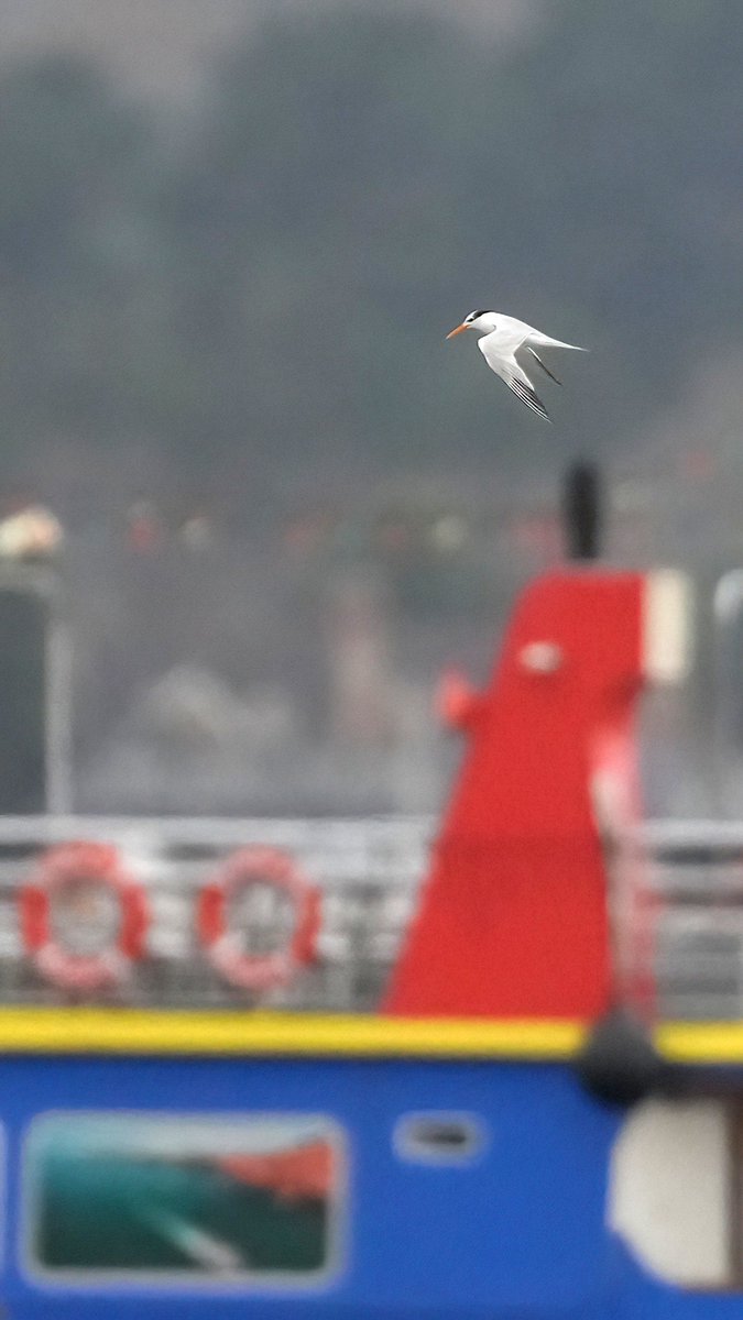 Gary Watton tweet media