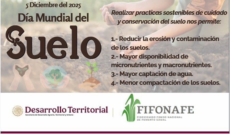 FIFONAFE tweet media