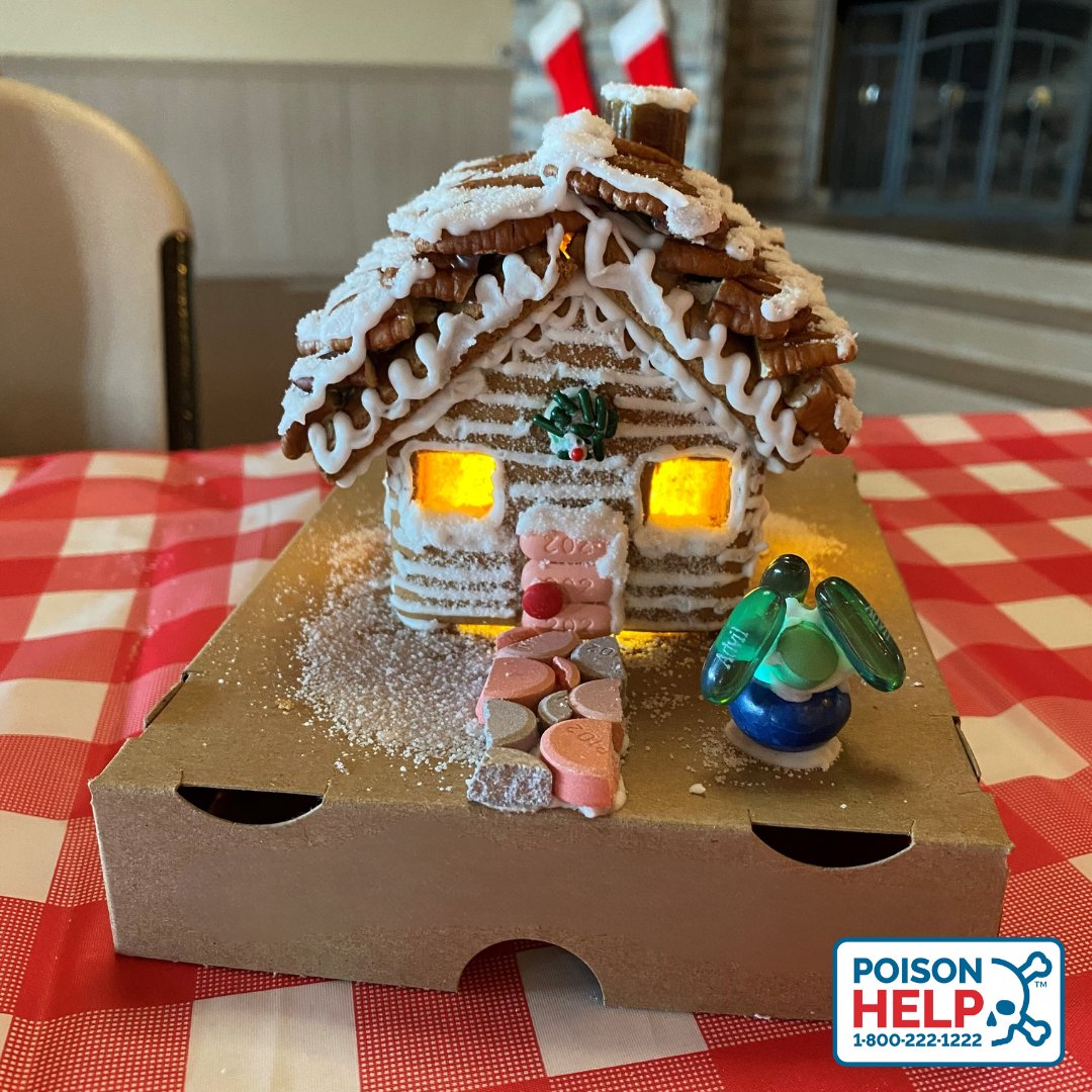 MARIpoisonctr's tweet image. 👀 Better take a 2nd look at this gingerbread house, made by a poison center pharmacist. Every piece is something you don't want to mix up with candy. Can you guess what substances were used instead?
#lookalike #pillsorcandy #gingerbreadhouse #holidayseason #prevention