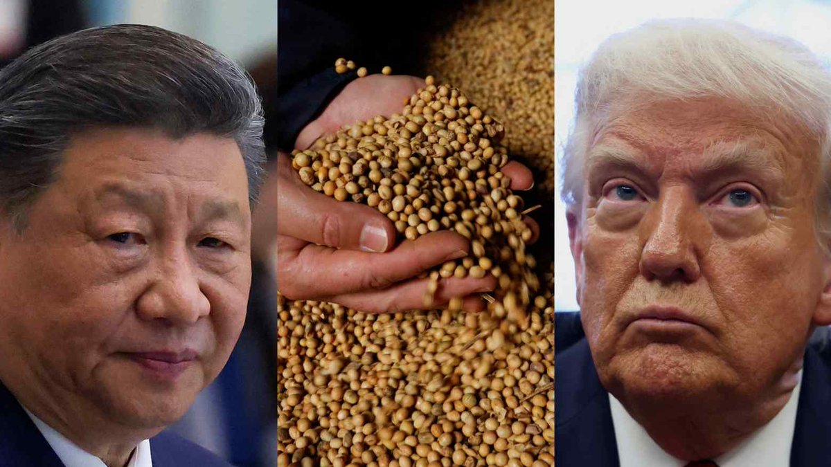 🚨 INVESTING : "Esportatori statunitensi vendono 462.000 tonnellate di soia alla Cina"