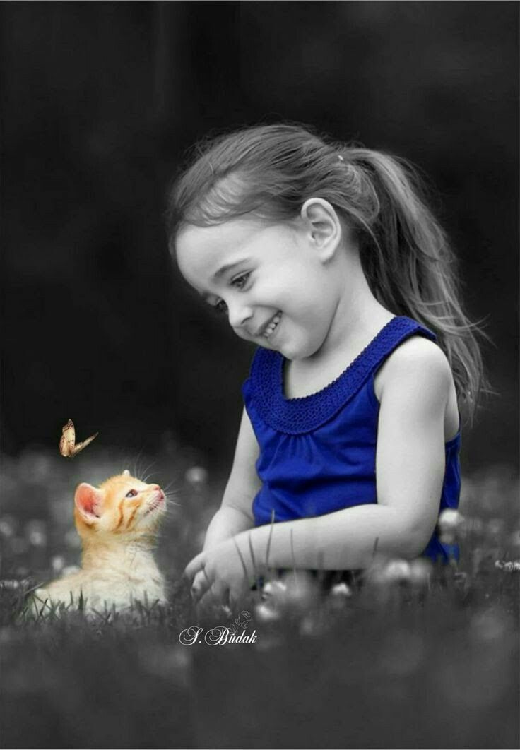 لحن الحياة🇸🇦 tweet media