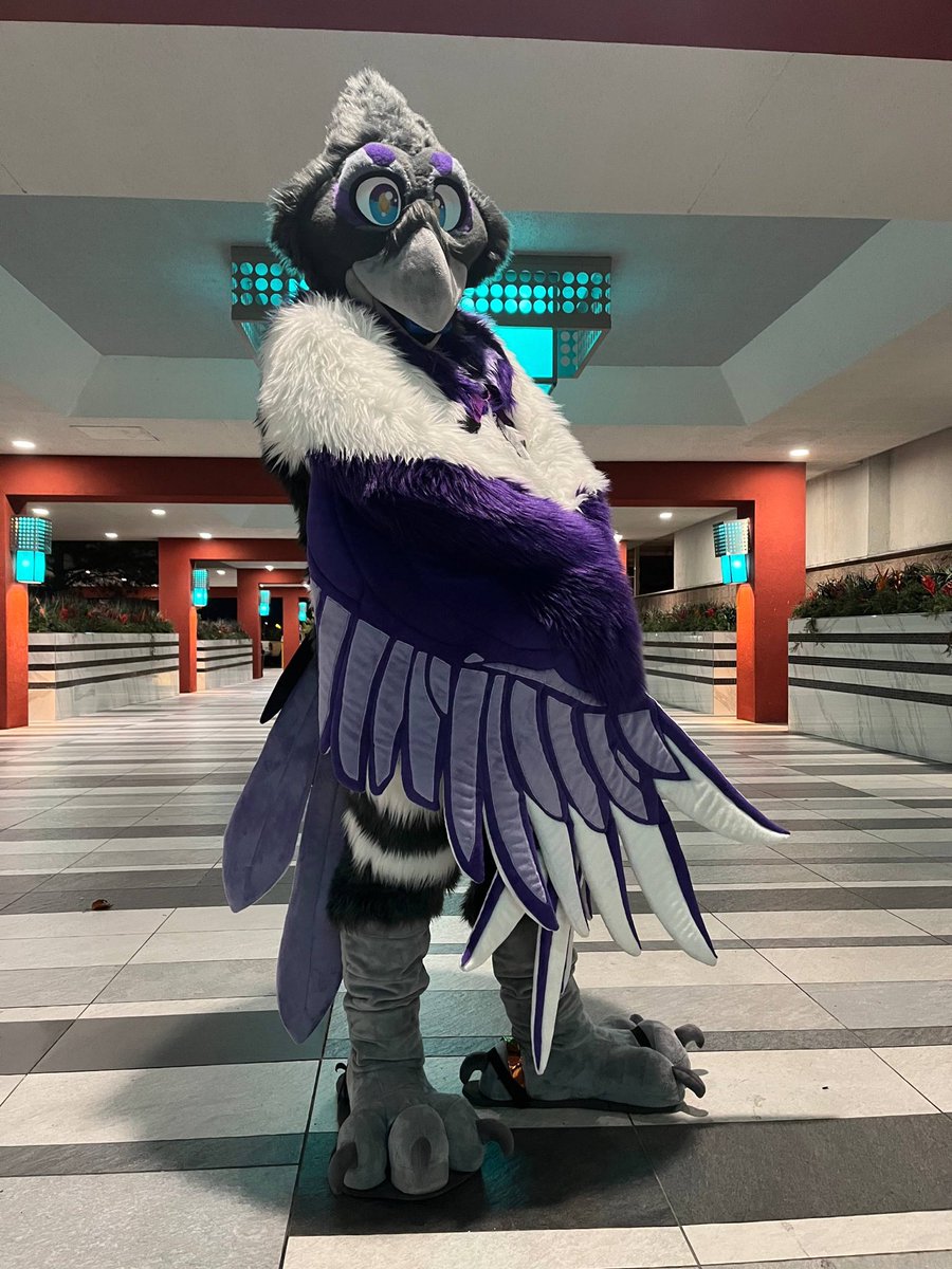 Umbra tweet media