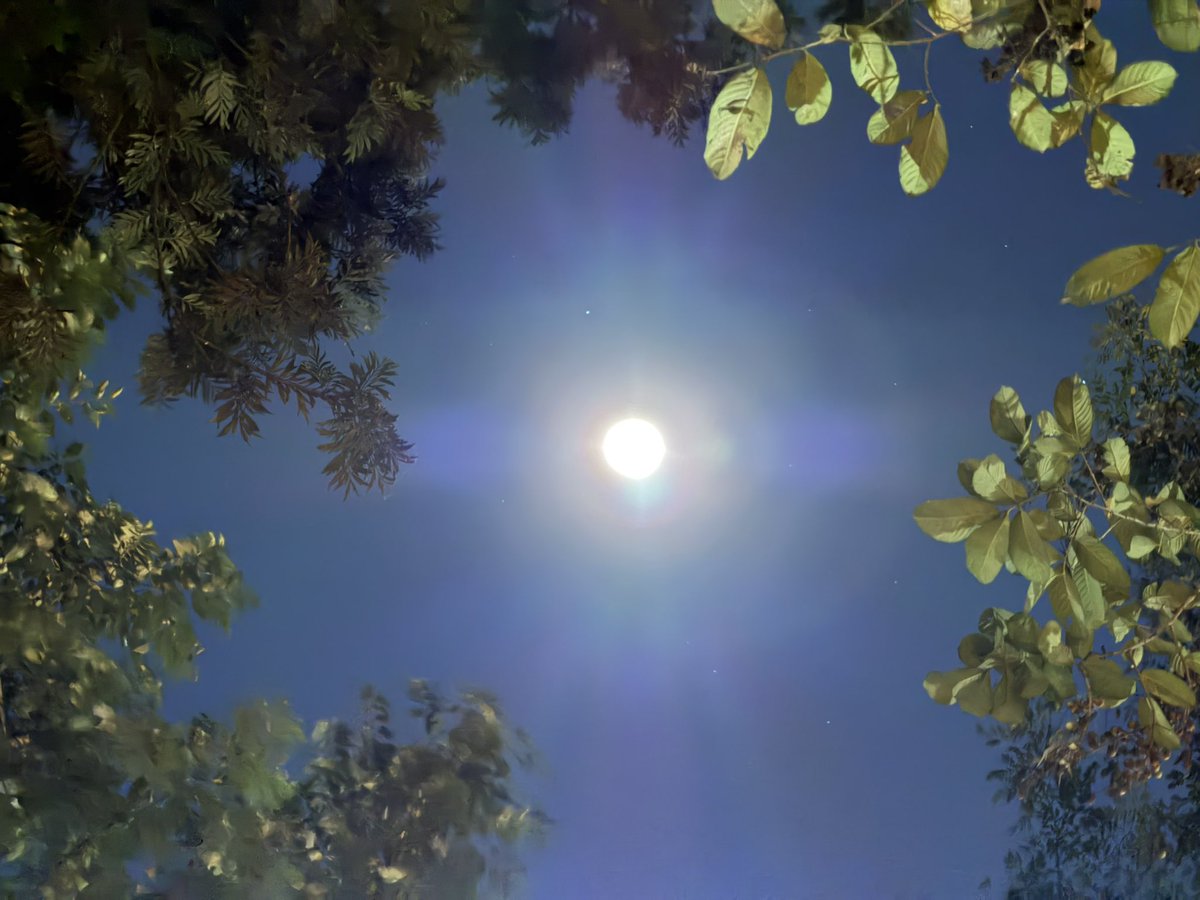 OraonNesha's tweet image. चाँद सबके लिए एक समान चमके है 
चाँद की रोशनी में  किसी की हिस्सेदारी नहीं , कोई भेदभाव नहीं …

Last full moon of the year …