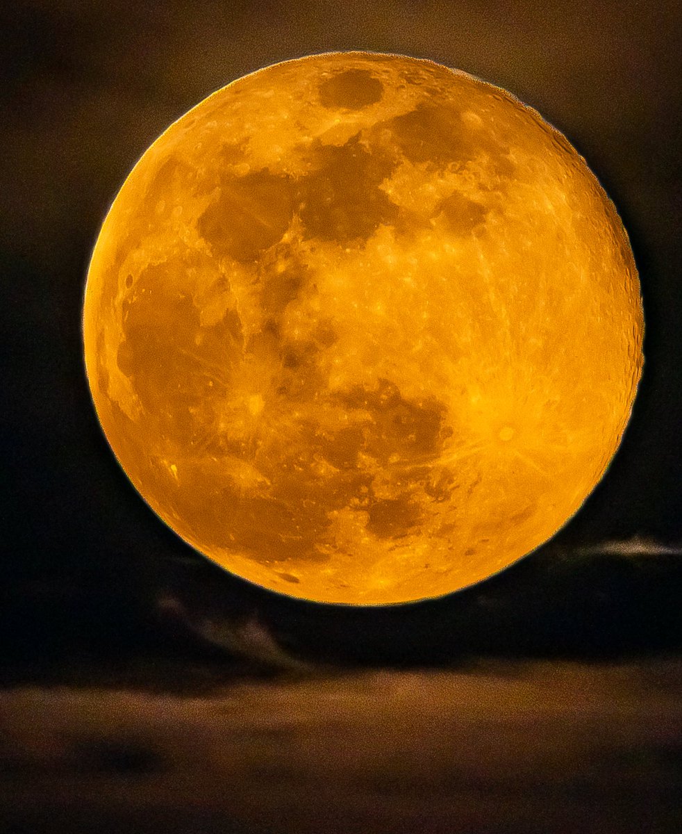 Dennis Marcus Mathew tweet media