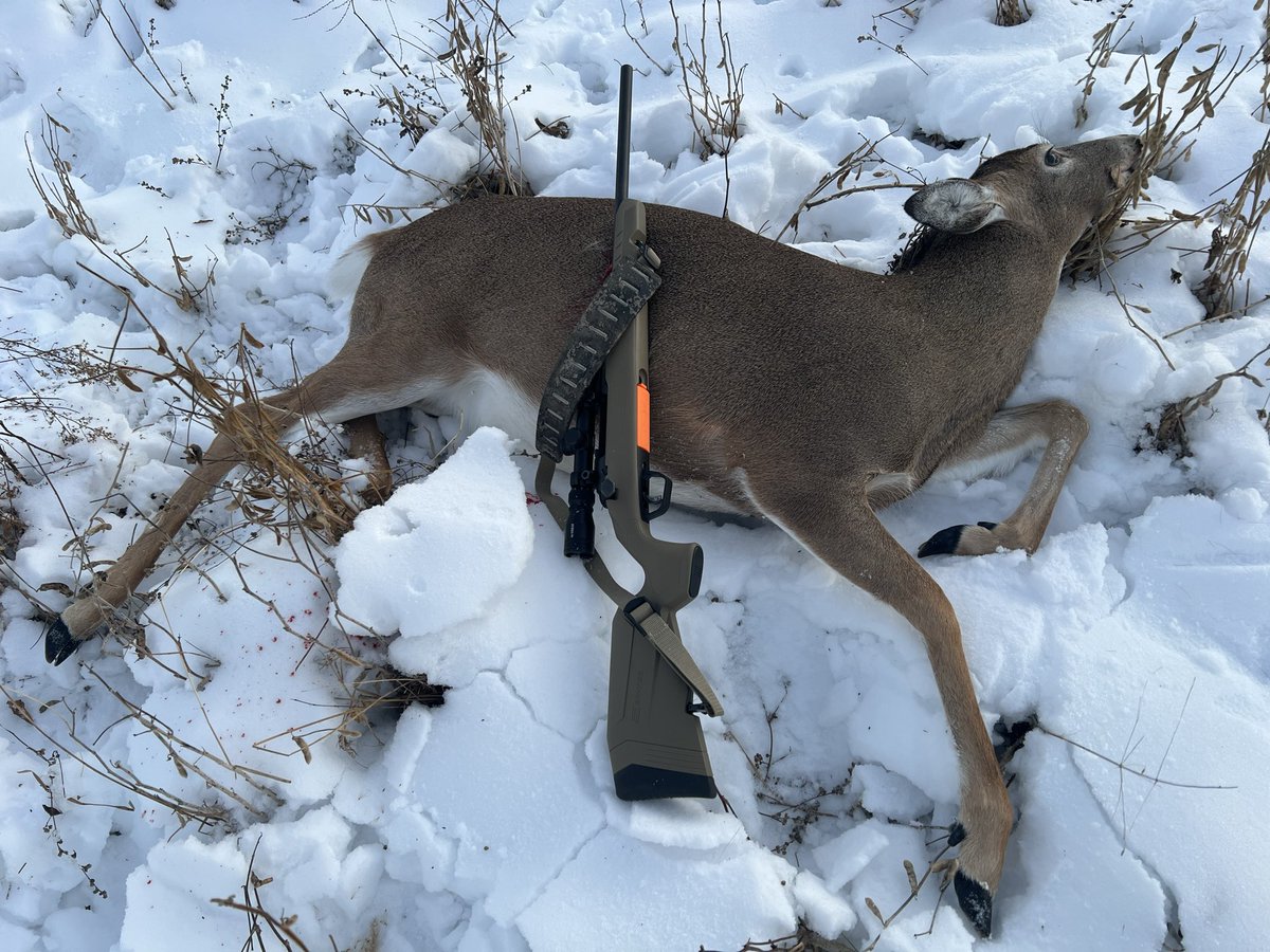 Buck Stevens tweet media