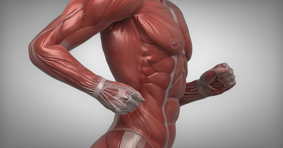 ViewMedica's tweet photo. ⚡ New Sports Medicine Library ⚡35+ videos covering ACL tears, rotator cuff injuries, tennis elbow &amp; more. Jump to the library: https://t.co/dW0Wh2jv7D #SportsMedicine #PhysicalTherapy #OccupationalTherapy #HealthEd https://t.co/JQn6mpXZJT