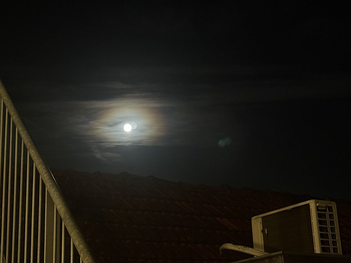 ダッチ◯ー◯ームーン🌝
#月に代わってお仕置きしない方のムーン再び
#ダッチがつくからといってワイフとも限らない

と思いきや、それは11/5だったのね。
今回のはコールドムーン言うらしい。

コー◯ドムーン...
#敢えて言わんが思うところはある

あー外寒い😩