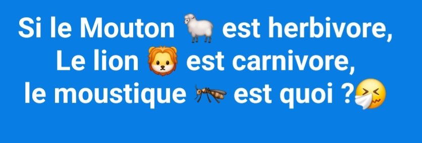 Boua⭐️⭐️🌟 tweet media