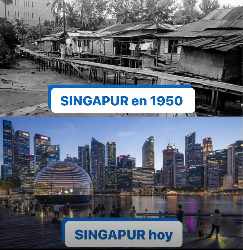 Leonel Teller Sanchez tweet media